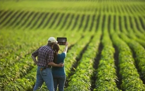 农机科技的崛起：农业产业革命的引擎